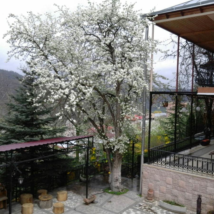 Casanova Inn - Boutique Hotel Dilidzjan Buitenkant foto